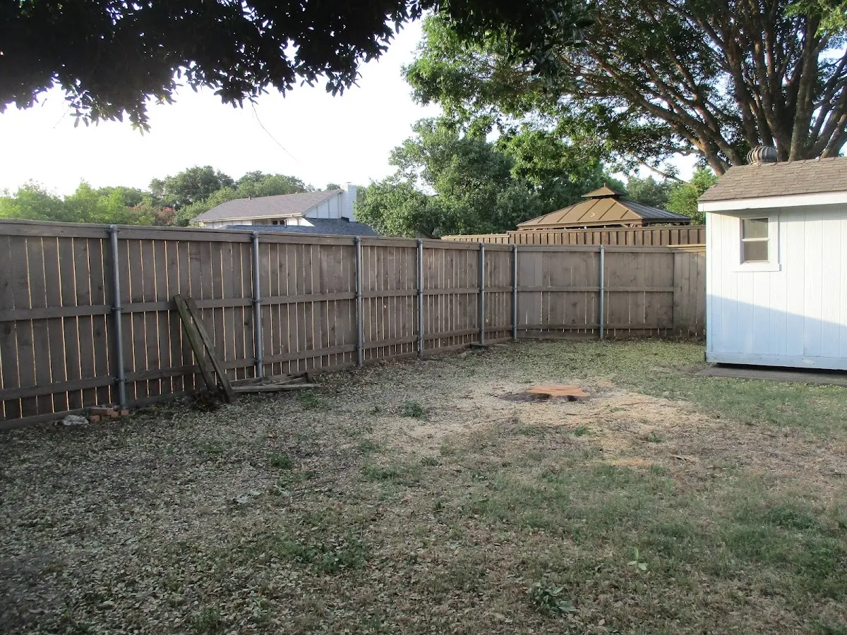 Cleared yard after professional tree removal in Grayson