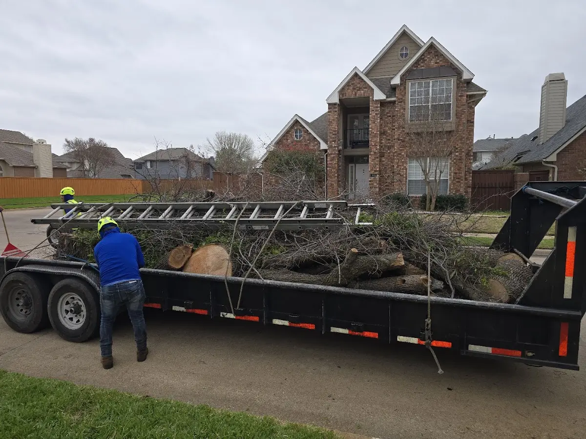 Expert Crown Reduction with proper safety equipment in Grayson